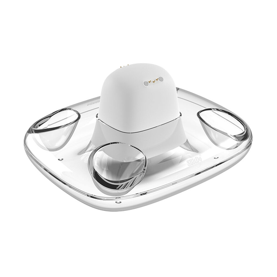 8Bitdo Dual Charging Dock för Xbox Wireless Controller Magnetisk kontaktladdning Justerbar Ambient Lighting Överbelastni